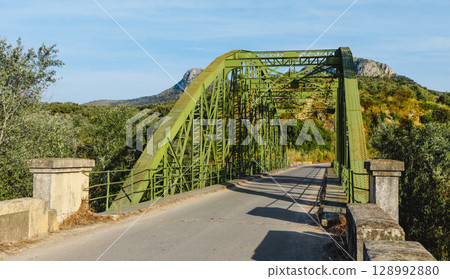 Luis de Arminan bridge over the Genil river Luis de Arminan bridge over the Genil river 128992880