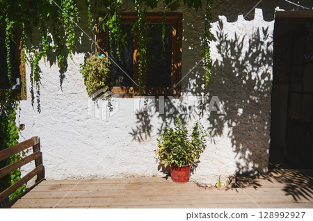 Sunlit Rustic Patio with Shadowed Walls and Greenery Plants 128992927