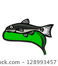 Illustration of a cute otocinclus sitting on a leaf 128993457
