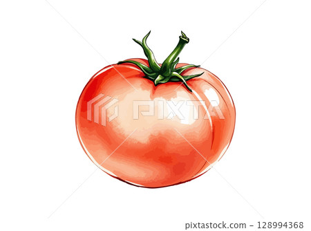 Watercolor vector illustration of tomatoes. 128994368