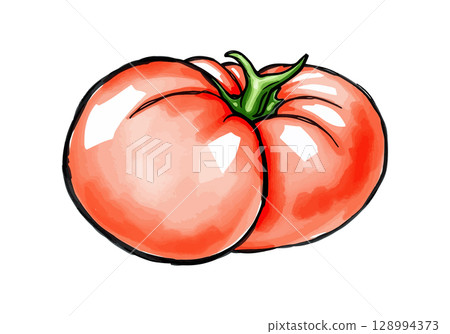 Watercolor vector illustration of tomatoes. Watercolor vector illustration of tomatoes. 128994373