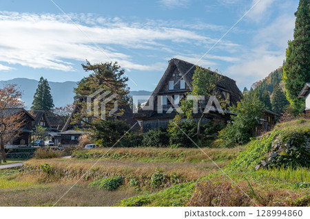 Autumn leaves in Ainokura Gassho-style village, Gokayama 128994860