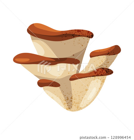 Oyster or abalone, tree mushroom. Vector autumn fungi or fall forest harvest. Pleurotus woodland plant or wood shroom. Seasonal food ingredient for vegetarian cooking. Nature and biology, mycology. Oyster or abalone, tree mushroom. Vector autumn fungi or fall forest harvest. Pleurotus woodland plant or wood shroom. Seasonal food ingredient for vegetarian cooking. Nature and biology, mycology. 128996454