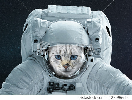 A cat in a detailed spacesuit floats alone in deep space. Whiskers of courage in the void. 128996614