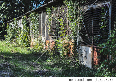 Old Abandoned Rusty Warehouse Buildings Amidst Greenery and Sunlight Old Abandoned Rusty Warehouse Buildings Amidst Greenery and Sunlight 128996738