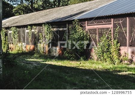 Old Abandoned Rusty Warehouse Buildings Amidst Greenery and Sunlight Old Abandoned Rusty Warehouse Buildings Amidst Greenery and Sunlight 128996755