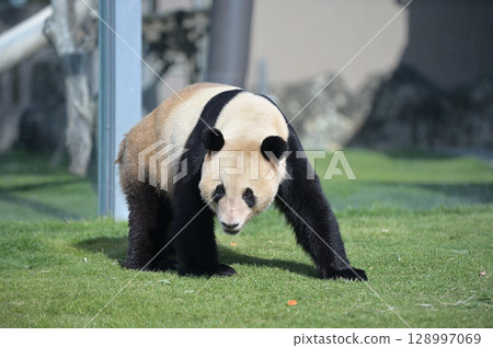 在小濱附近散步 在小濱附近散步 128997069