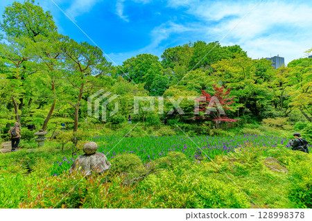 Tokyo Minato-ku Minamiaoyama Nezu Museum garden with beautiful fresh greenery Tokyo Minato-ku Minamiaoyama Nezu Museum garden with beautiful fresh greenery 128998378