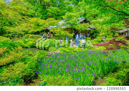 Tokyo Minato-ku Minamiaoyama Nezu Museum garden with beautiful fresh greenery 128998381