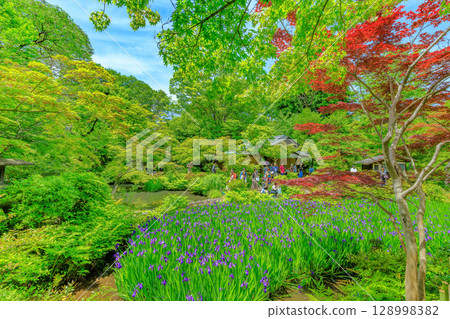 Tokyo Minato-ku Minamiaoyama Nezu Museum garden with beautiful fresh greenery Tokyo Minato-ku Minamiaoyama Nezu Museum garden with beautiful fresh greenery 128998382