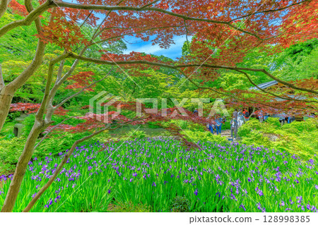 東京港區南青山根津美術館花園，綠樹成蔭，景色宜人 128998385