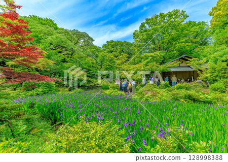 東京港區南青山根津美術館花園，綠樹成蔭，景色宜人 128998388