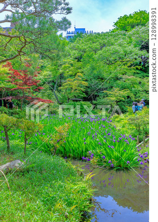 Tokyo Minato-ku Minamiaoyama Nezu Museum garden with beautiful fresh greenery Tokyo Minato-ku Minamiaoyama Nezu Museum garden with beautiful fresh greenery 128998391