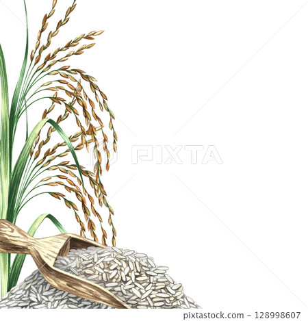 A frame with a wooden spatula filled with rice and rice grains. A hand-drawn watercolor illustration. An element of menu design, recipes, cookbooks, banners, flyers, packaging, labels, and more. A frame with a wooden spatula filled with rice and rice grains. A hand-drawn watercolor illustration. An element of menu design, recipes, cookbooks, banners, flyers, packaging, labels, and more. 128998607