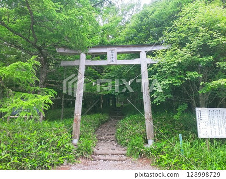 綠蔭環繞的蓼科神社鳥居和登山口 綠蔭環繞的蓼科神社鳥居和登山口 128998729