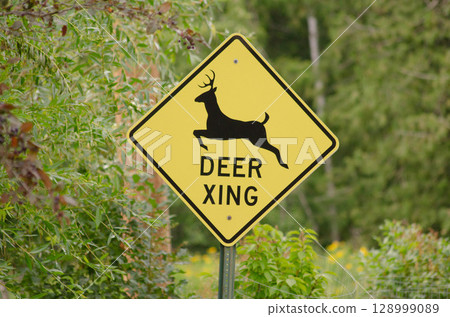 Deer Crossing Warning Sign on Country Road Deer Crossing Warning Sign on Country Road 128999089