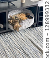 Cute tabby cat lying on the sofa and looking up. 128999332