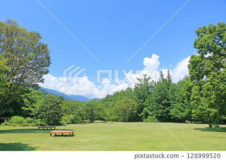 National Alps Azumino Park Horikane/Hotaka district forest 128999520