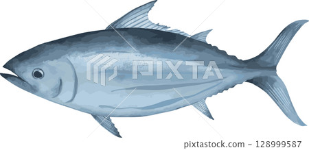 Hand-drawn illustration of bonito 128999587