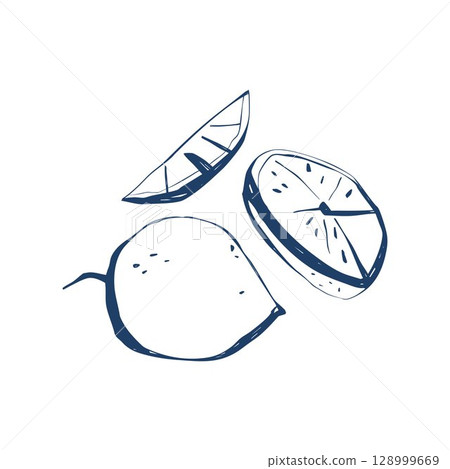Sliced lemon hand drawn sketch with whole fruit wedge and half cross section isolated on white Sliced lemon hand drawn sketch with whole fruit wedge and half cross section isolated on white 128999669