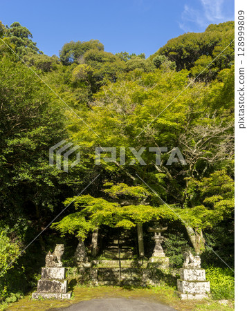 Guardian lions and torii gates of a shrine in a rural area Guardian lions and torii gates of a shrine in a rural area 128999809
