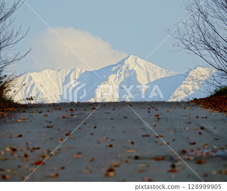 A view of the snow-capped Tokachi mountain range and a road from Biei Town, Hokkaido in late autumn 128999905