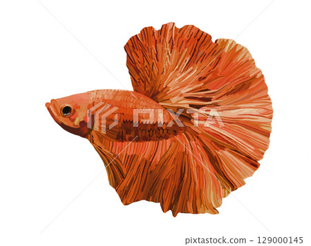鬥魚(紅色) 鬥魚(紅色) 129000145