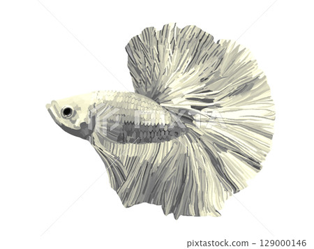 Betta (White) 129000146