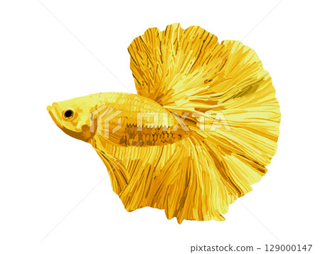 鬥魚（黃色） 129000147
