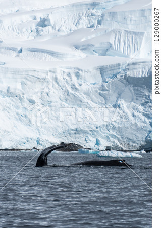 Snow and ice in Antarctica 129000267