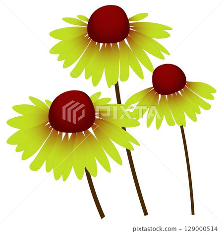 Rudbeckia green 129000514