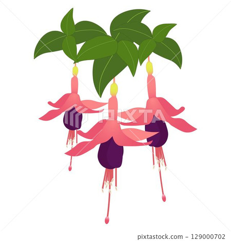 紫紅色 粉紅色 紫色 紫紅色 粉紅色 紫色 129000702