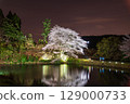 Illumination of Jirakansu cherry blossoms Illumination of Jirakansu cherry blossoms 129000733