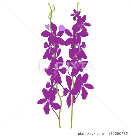 莫卡拉紫 莫卡拉紫 129000785