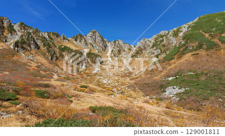 Autumn leaves of Mount Hoken in the Central Alps 129001811
