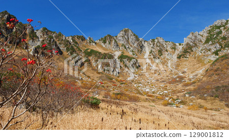 中央阿爾卑斯山的寶劍山的秋葉 129001812