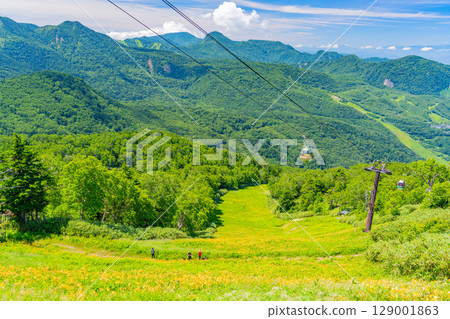 【長野縣】志賀高原東館山滑雪場山坡上盛開的萱草（東館山高山植物園） 129001863