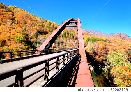 Autumn leaves of Okumo Flower Dam 129002139