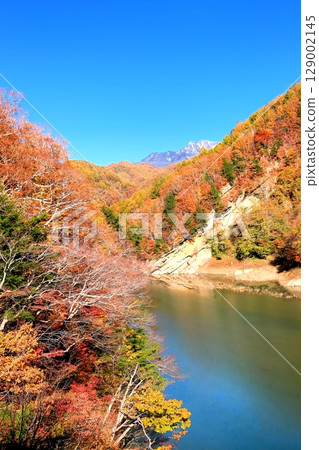 Autumn leaves of Okumo Flower Dam 129002145