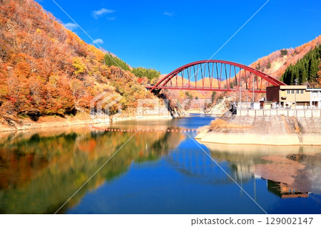 Autumn leaves of Okumo Flower Dam 129002147