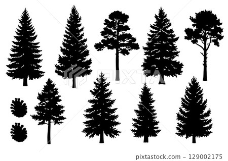 Black silhouette pine tree collection. Vector illustration. 129002175