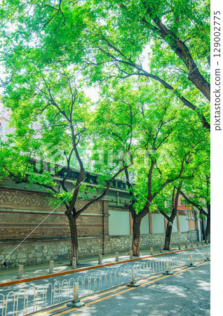 北京城市景觀,中國 北京城市景觀,中國 129002775