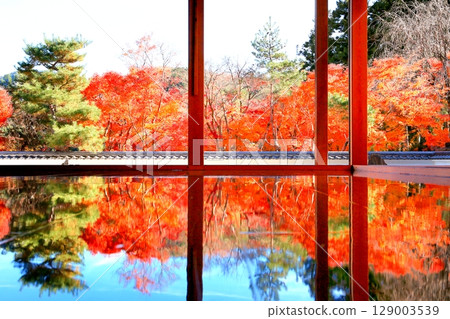 Baotokuji的地板楓 129003539