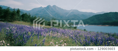 A backdrop that evokes the majesty of nature 129003603