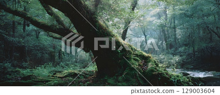 A backdrop that evokes the majesty of nature 129003604