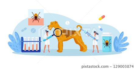 Dog Tick Season. Prevention of Lyme and Encephalitis Diseases. Removing Encephalitis Ticks. Veterinary Doctors Remove Mite. Parasite Carrying Disease. First Aid with Infections Transmitted by Mites 129003874