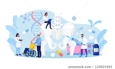 Orthopedic traumatology and trauma surgery. Vertebrologist examine human vertebra. Doctor team engaged in lower spine, hip joint skeleton, pelvic injury inspection. Spine backbone disease diagnostics 129003893