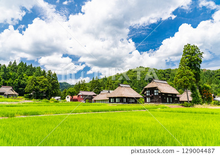 新潟縣：荻之島茅草村，日本傳統夏日風景 129004487