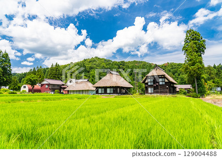 新潟縣：荻之島茅草村，日本傳統夏日風景 129004488
