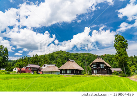 新潟縣：荻之島茅草村，日本傳統夏日風景 129004489